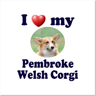 I Love My Pembroke Welsh Corgi Posters and Art